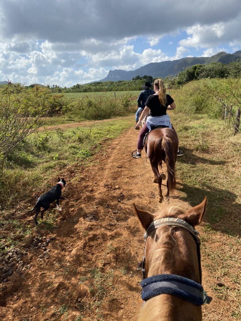 horse riding Viñales