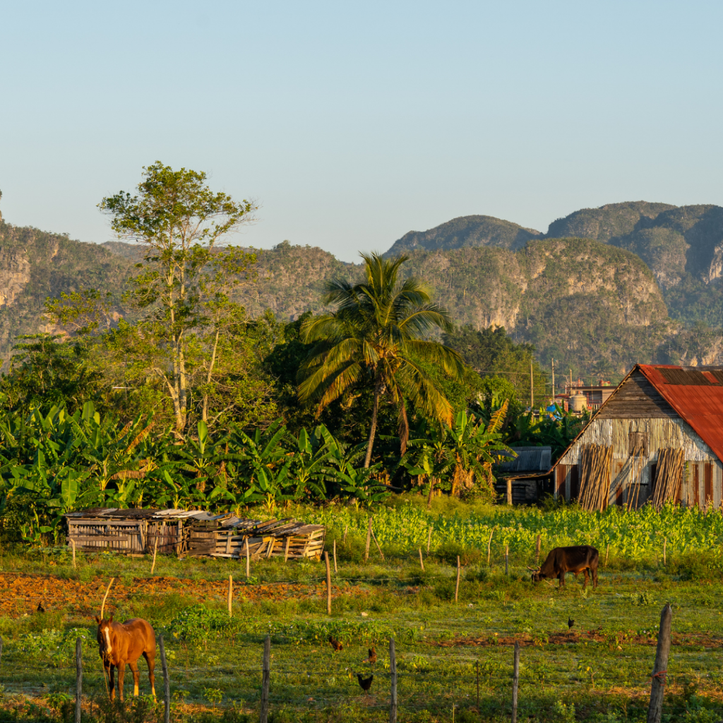 digital nomad cuba