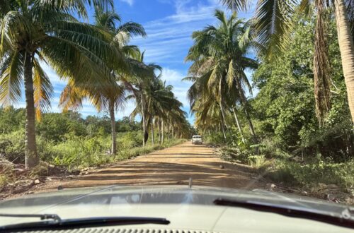 plan your perfect trip to Cuba in 2024