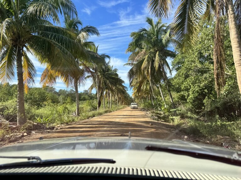 cuban beach