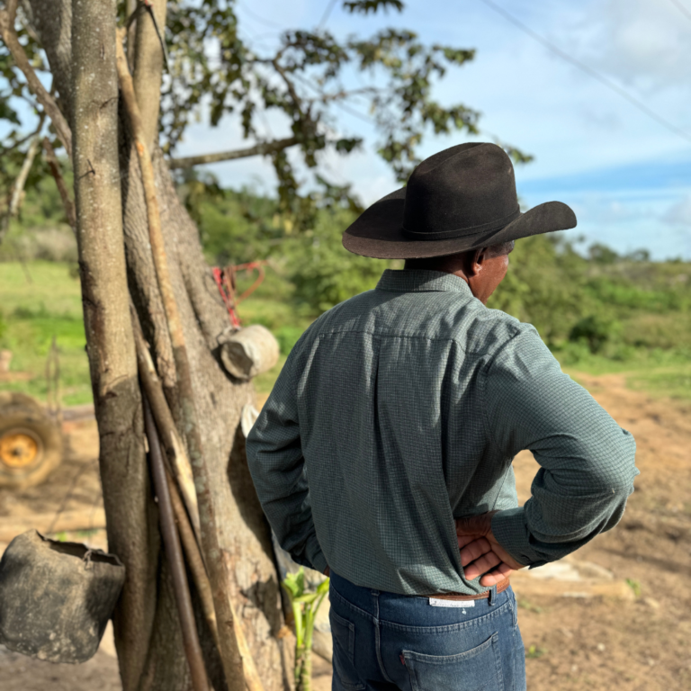 cuban cowboy gazing into the distance